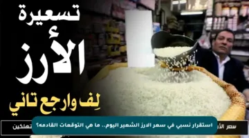 استقرار نسبي في سعر الأرز الشعير اليوم.. ما هي التوقعات القادمة؟